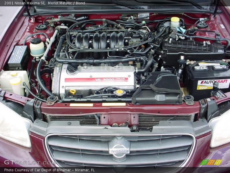 Merlot Metallic / Blond 2001 Nissan Maxima SE