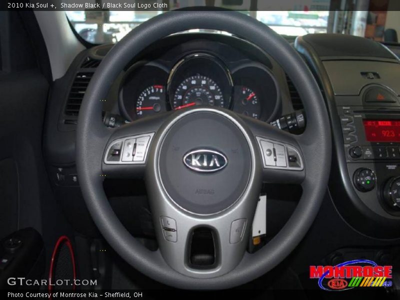 Shadow Black / Black Soul Logo Cloth 2010 Kia Soul +