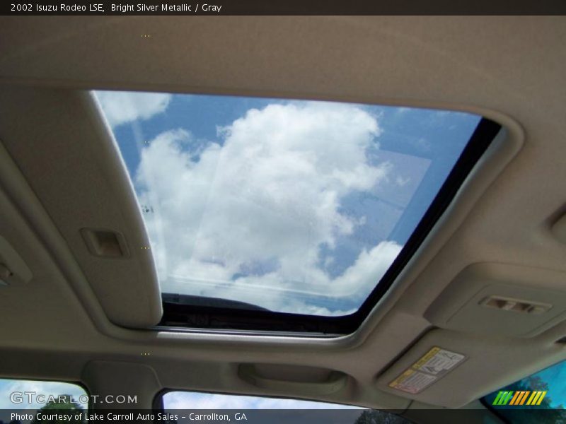 Bright Silver Metallic / Gray 2002 Isuzu Rodeo LSE
