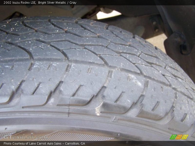 Bright Silver Metallic / Gray 2002 Isuzu Rodeo LSE