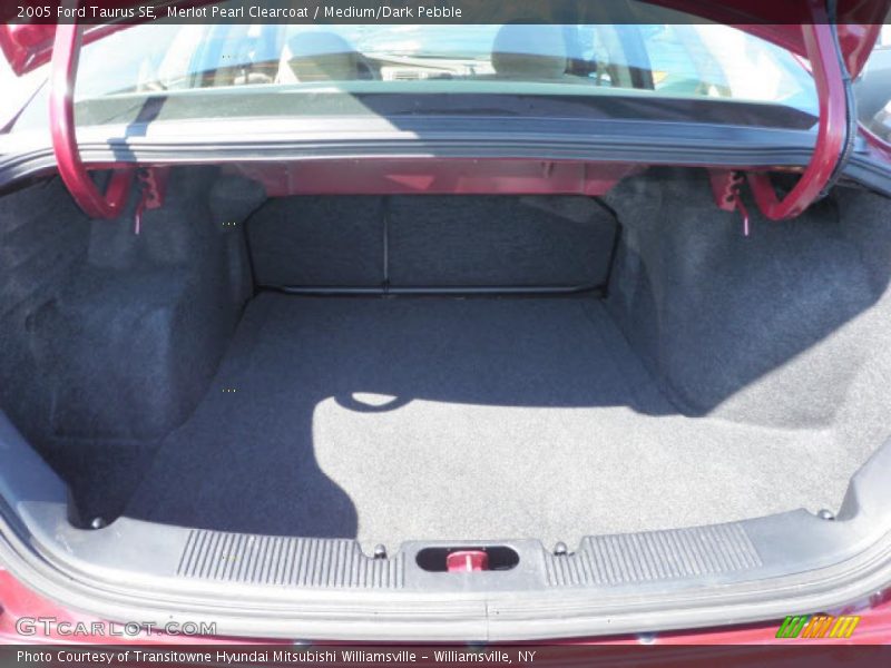 Merlot Pearl Clearcoat / Medium/Dark Pebble 2005 Ford Taurus SE