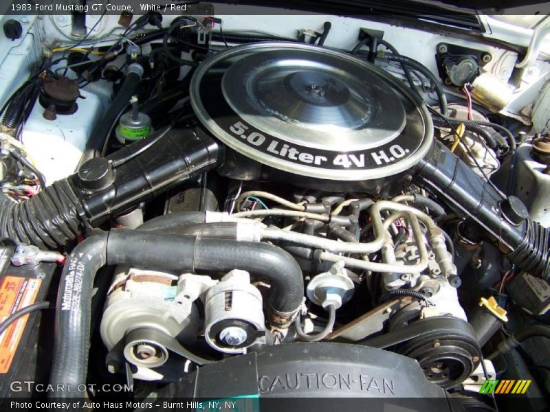 White / Red 1983 Ford Mustang GT Coupe