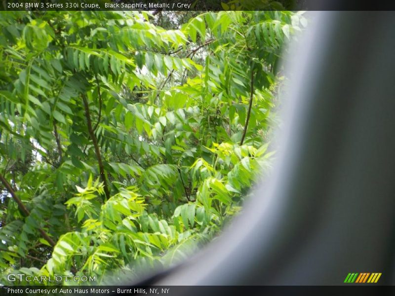 Black Sapphire Metallic / Grey 2004 BMW 3 Series 330i Coupe
