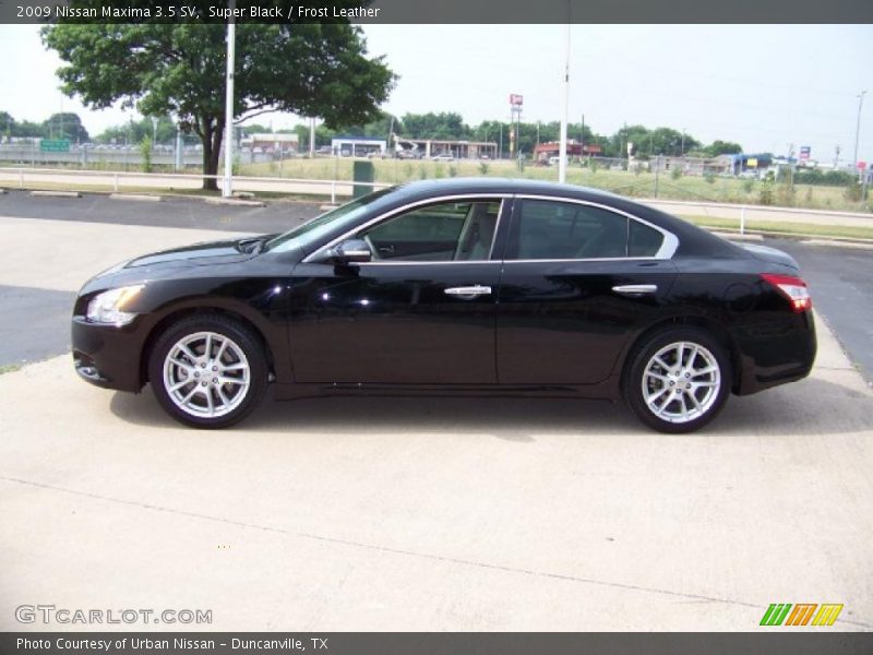 Super Black / Frost Leather 2009 Nissan Maxima 3.5 SV