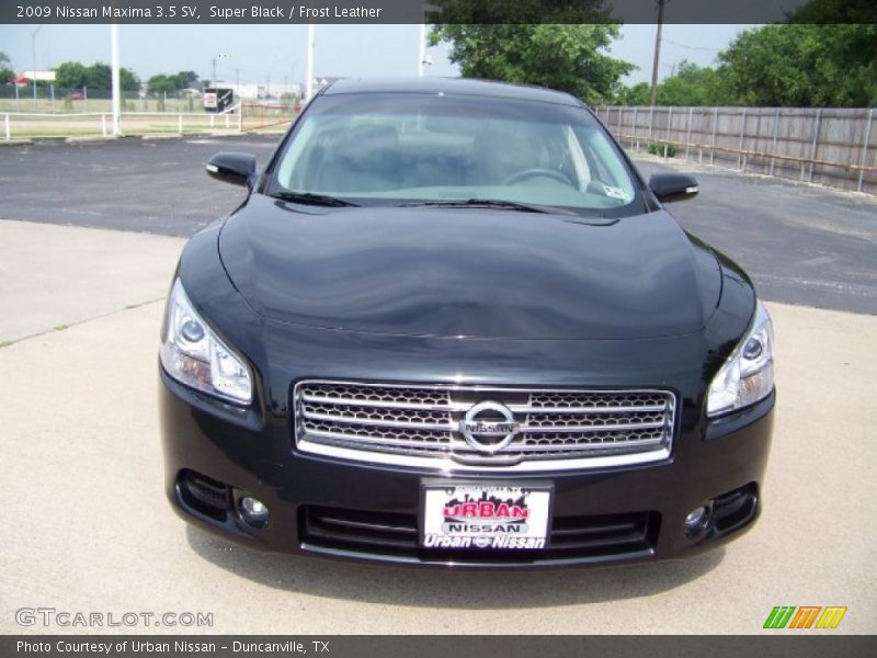 Super Black / Frost Leather 2009 Nissan Maxima 3.5 SV