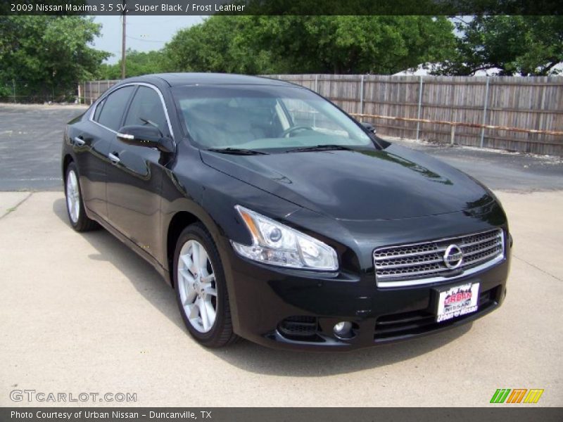 Super Black / Frost Leather 2009 Nissan Maxima 3.5 SV