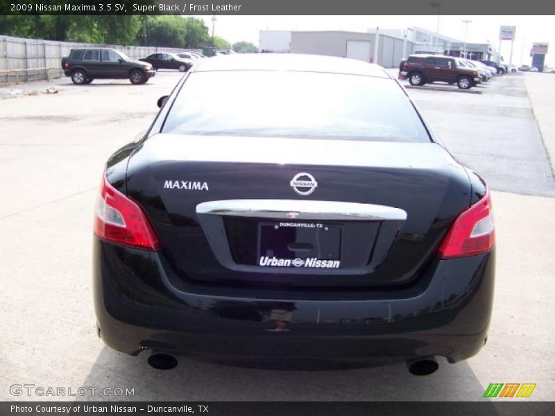 Super Black / Frost Leather 2009 Nissan Maxima 3.5 SV