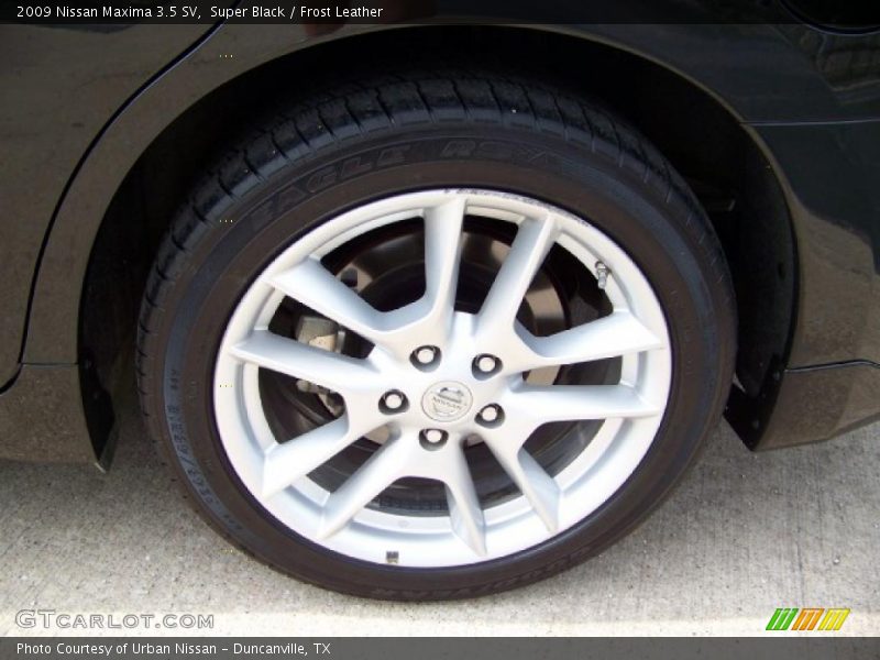 Super Black / Frost Leather 2009 Nissan Maxima 3.5 SV