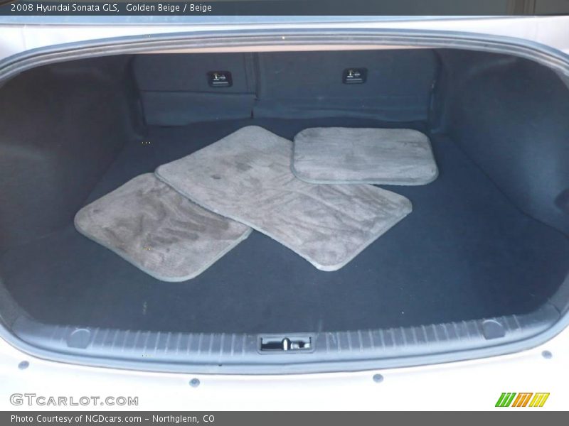 Golden Beige / Beige 2008 Hyundai Sonata GLS