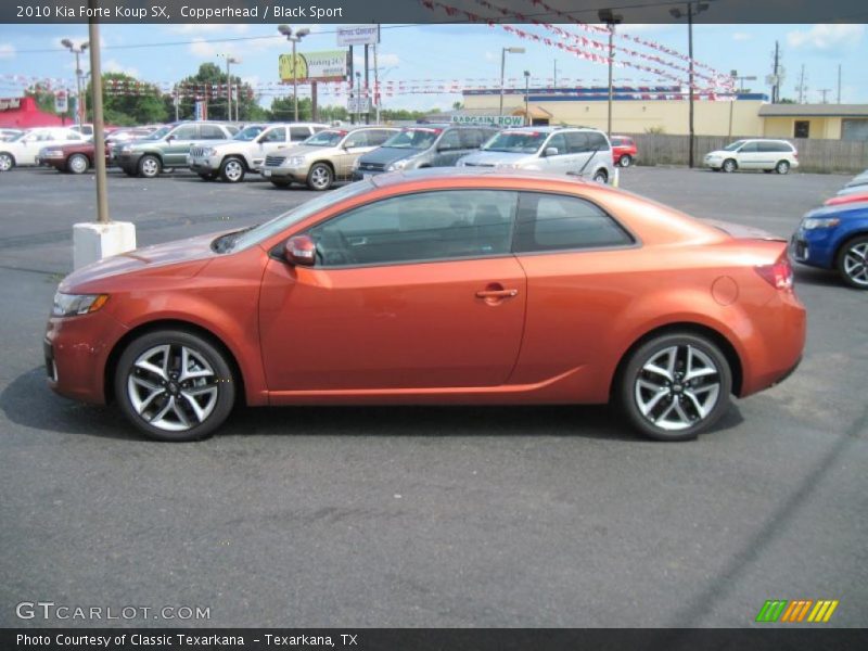 Copperhead / Black Sport 2010 Kia Forte Koup SX