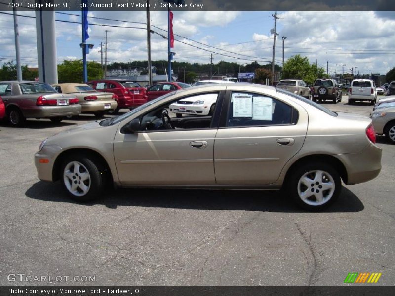 Light Almond Pearl Metallic / Dark Slate Gray 2002 Dodge Neon SE