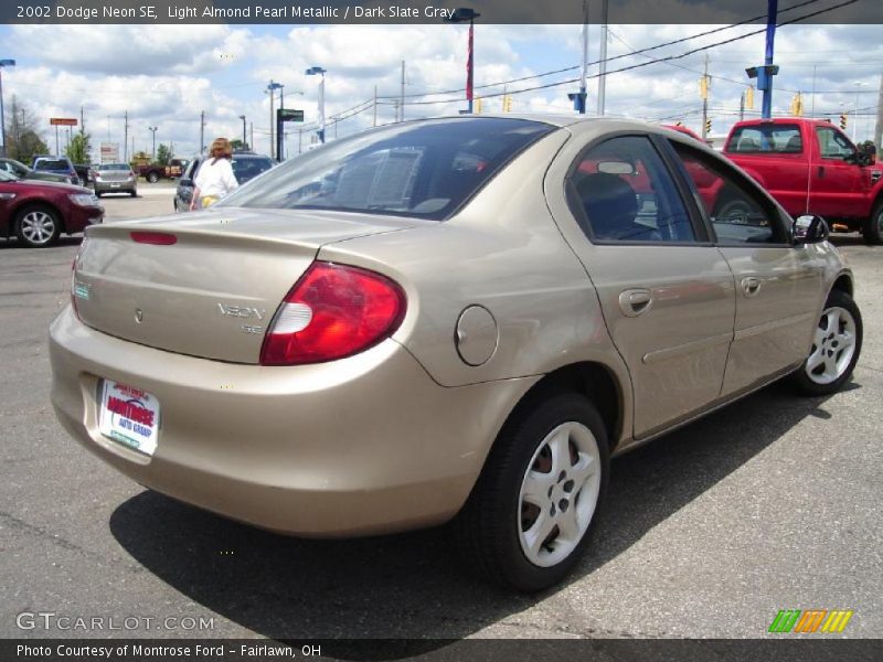 Light Almond Pearl Metallic / Dark Slate Gray 2002 Dodge Neon SE