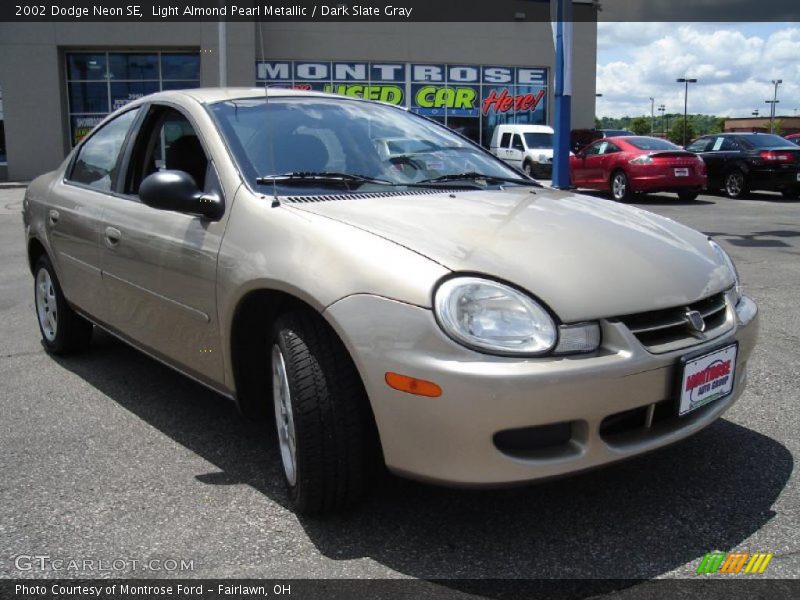 Light Almond Pearl Metallic / Dark Slate Gray 2002 Dodge Neon SE
