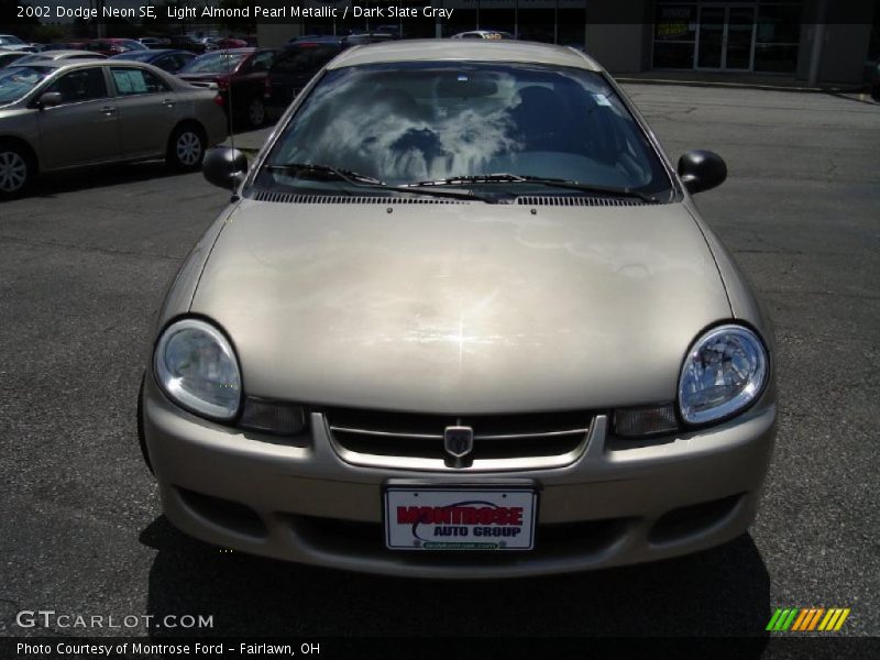 Light Almond Pearl Metallic / Dark Slate Gray 2002 Dodge Neon SE