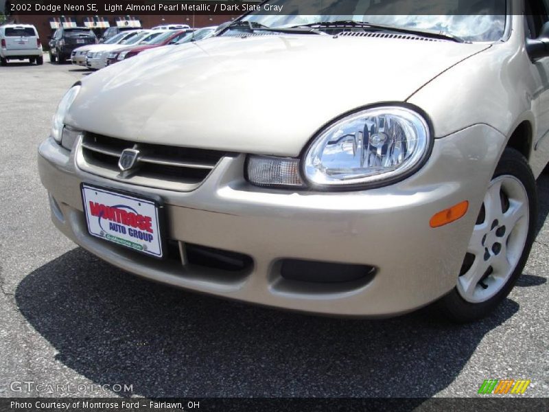 Light Almond Pearl Metallic / Dark Slate Gray 2002 Dodge Neon SE