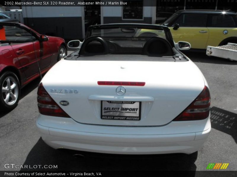 Alabaster White / Marlin Blue 2002 Mercedes-Benz SLK 320 Roadster