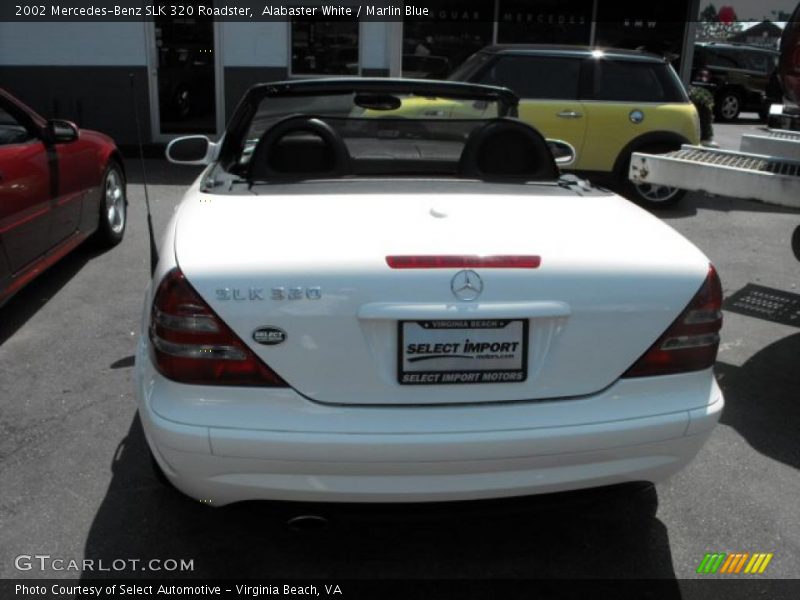 Alabaster White / Marlin Blue 2002 Mercedes-Benz SLK 320 Roadster
