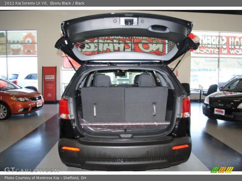 Ebony Black / Black 2011 Kia Sorento LX V6