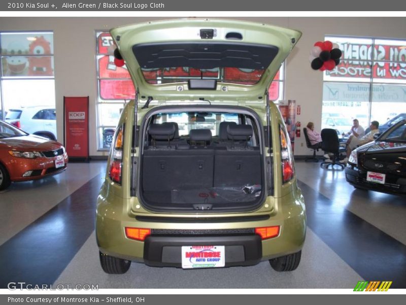 Alien Green / Black Soul Logo Cloth 2010 Kia Soul +