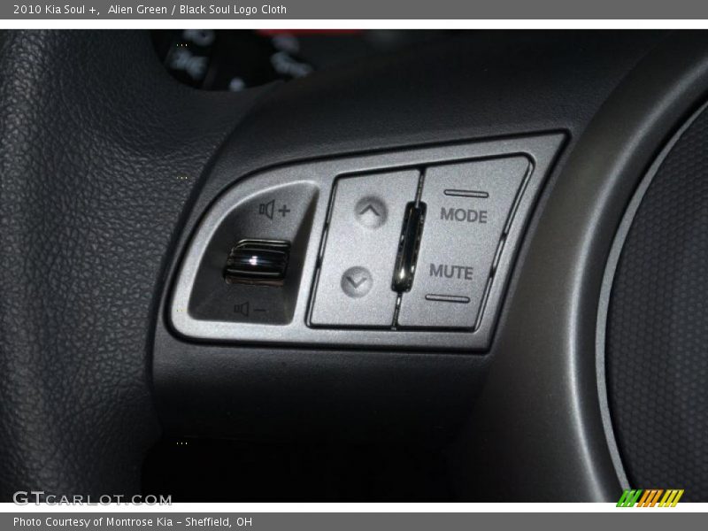 Alien Green / Black Soul Logo Cloth 2010 Kia Soul +