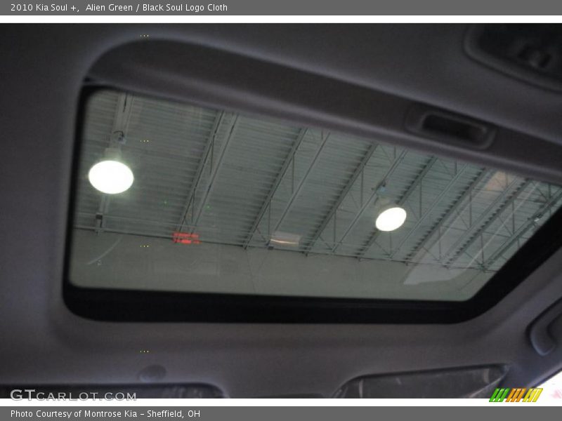 Alien Green / Black Soul Logo Cloth 2010 Kia Soul +