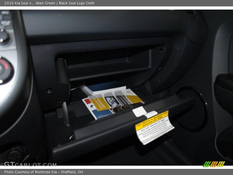 Alien Green / Black Soul Logo Cloth 2010 Kia Soul +