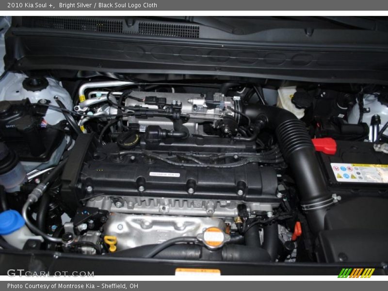 Bright Silver / Black Soul Logo Cloth 2010 Kia Soul +
