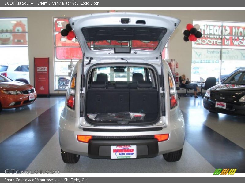 Bright Silver / Black Soul Logo Cloth 2010 Kia Soul +