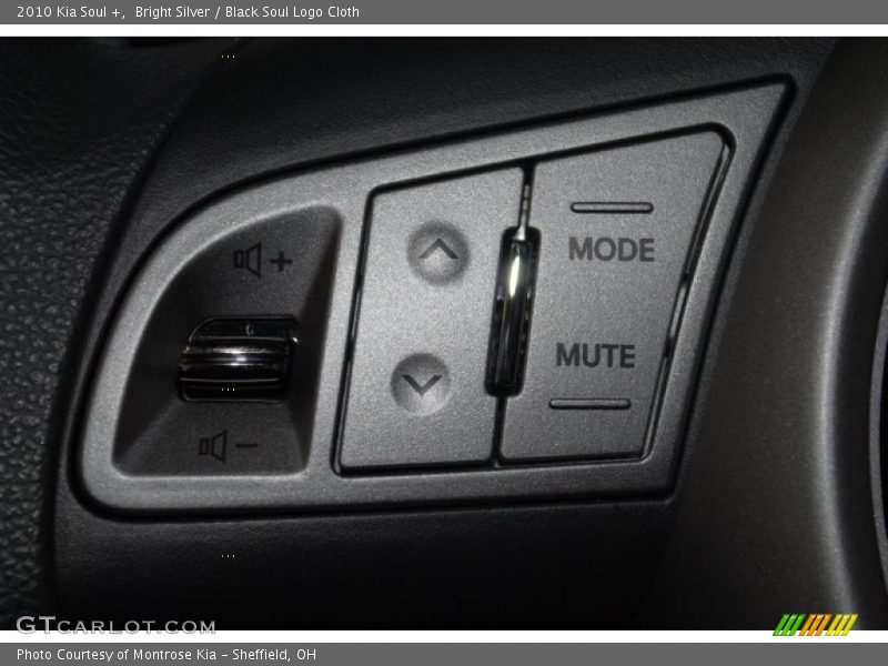 Bright Silver / Black Soul Logo Cloth 2010 Kia Soul +