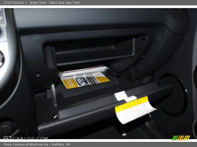 Bright Silver / Black Soul Logo Cloth 2010 Kia Soul +