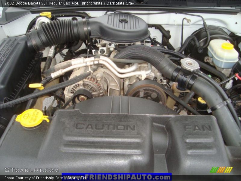 Bright White / Dark Slate Gray 2002 Dodge Dakota SLT Regular Cab 4x4