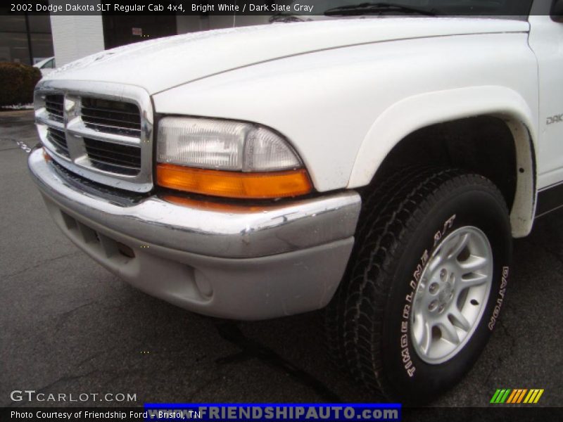 Bright White / Dark Slate Gray 2002 Dodge Dakota SLT Regular Cab 4x4