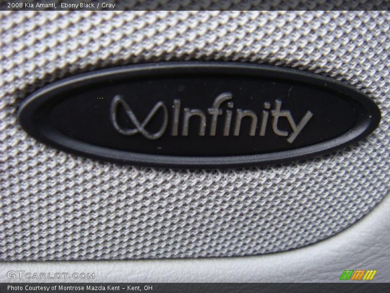 Ebony Black / Gray 2008 Kia Amanti