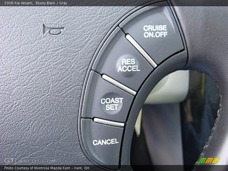 Ebony Black / Gray 2008 Kia Amanti