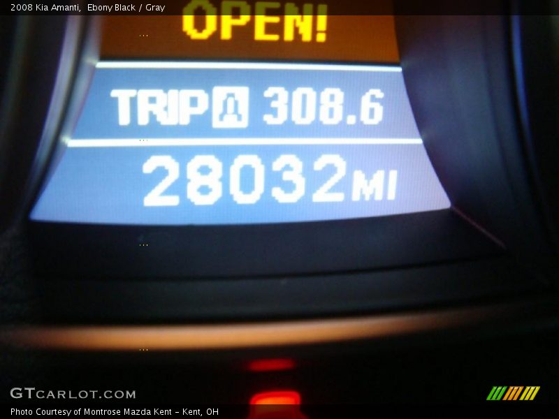 Ebony Black / Gray 2008 Kia Amanti