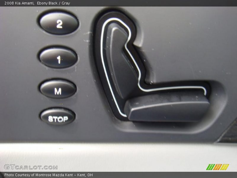 Ebony Black / Gray 2008 Kia Amanti