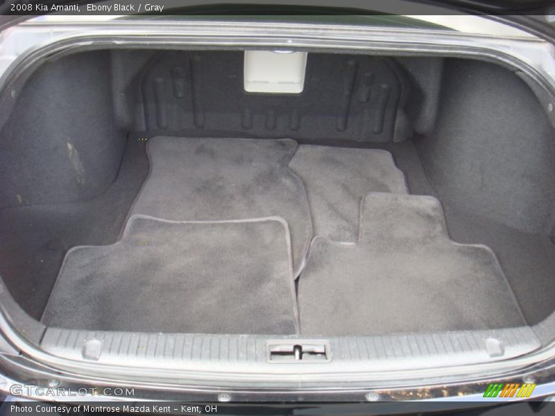Ebony Black / Gray 2008 Kia Amanti