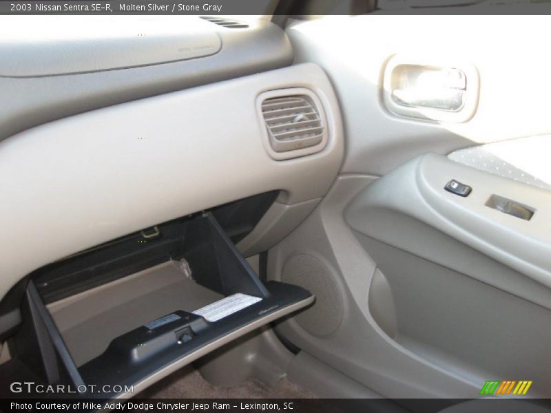 Molten Silver / Stone Gray 2003 Nissan Sentra SE-R