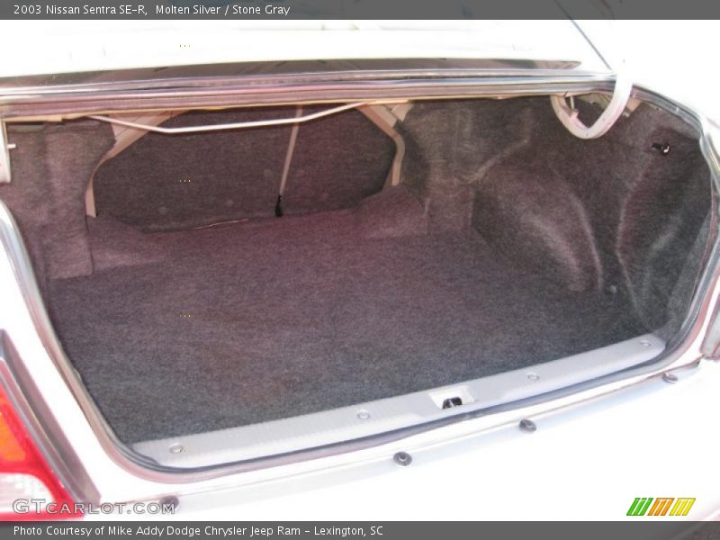 Molten Silver / Stone Gray 2003 Nissan Sentra SE-R