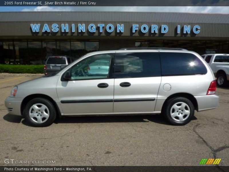 Silver Birch Metallic / Flint Grey 2005 Ford Freestar SE