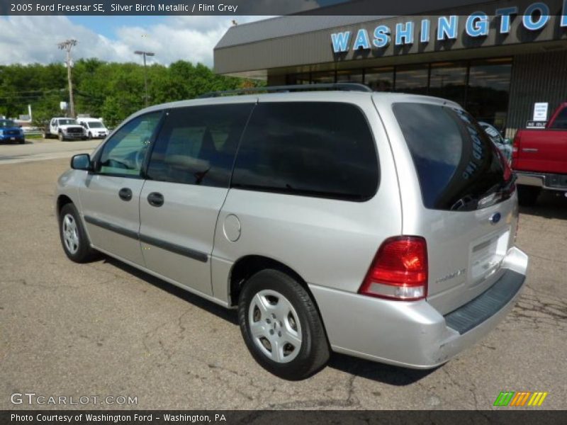 Silver Birch Metallic / Flint Grey 2005 Ford Freestar SE