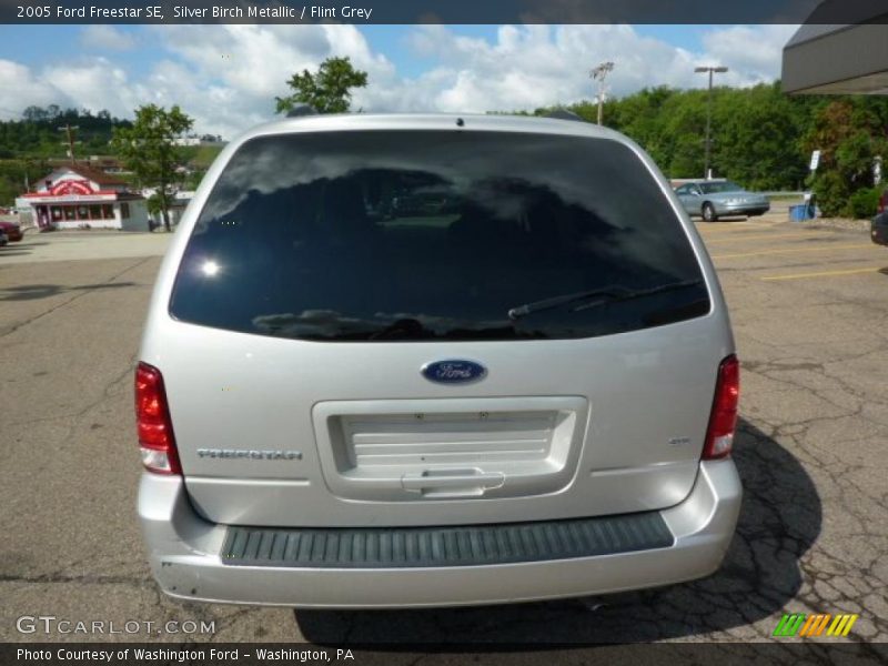 Silver Birch Metallic / Flint Grey 2005 Ford Freestar SE