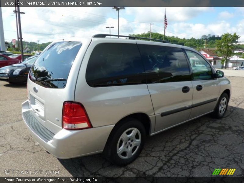 Silver Birch Metallic / Flint Grey 2005 Ford Freestar SE