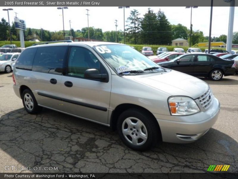 Silver Birch Metallic / Flint Grey 2005 Ford Freestar SE