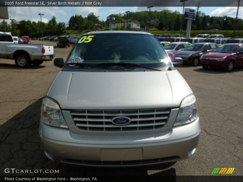 Silver Birch Metallic / Flint Grey 2005 Ford Freestar SE