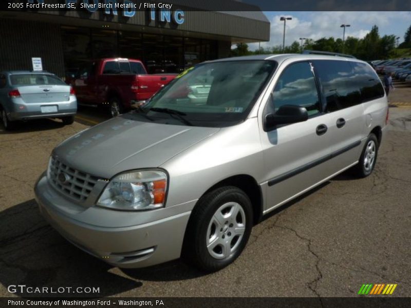 Silver Birch Metallic / Flint Grey 2005 Ford Freestar SE