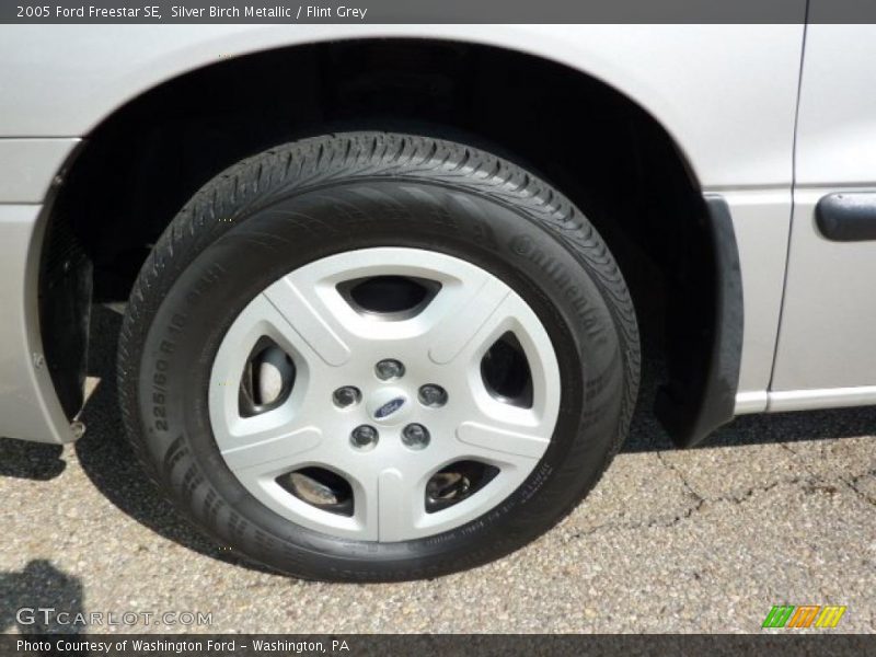 Silver Birch Metallic / Flint Grey 2005 Ford Freestar SE