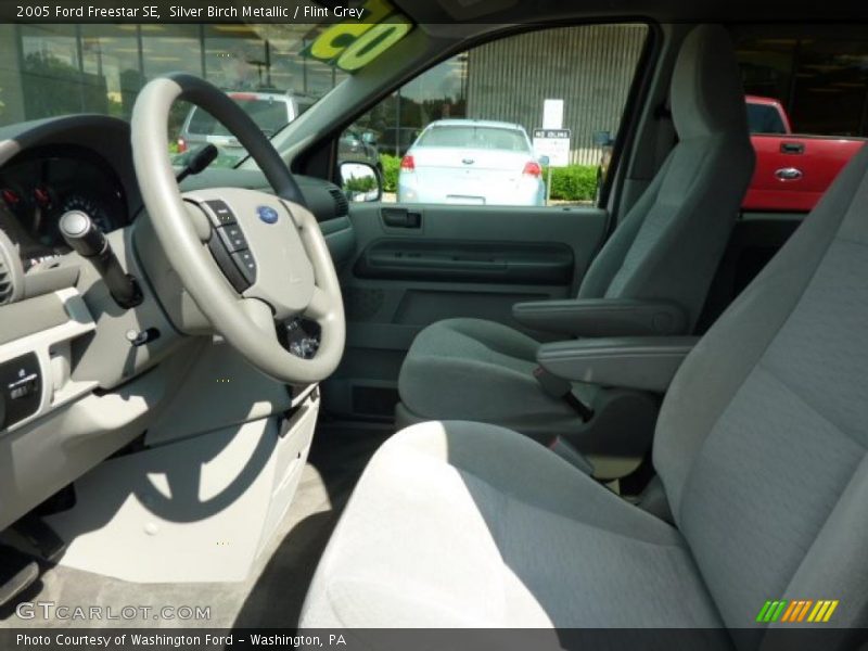 Silver Birch Metallic / Flint Grey 2005 Ford Freestar SE