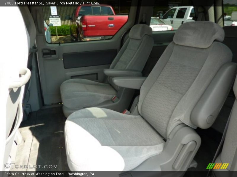 Silver Birch Metallic / Flint Grey 2005 Ford Freestar SE