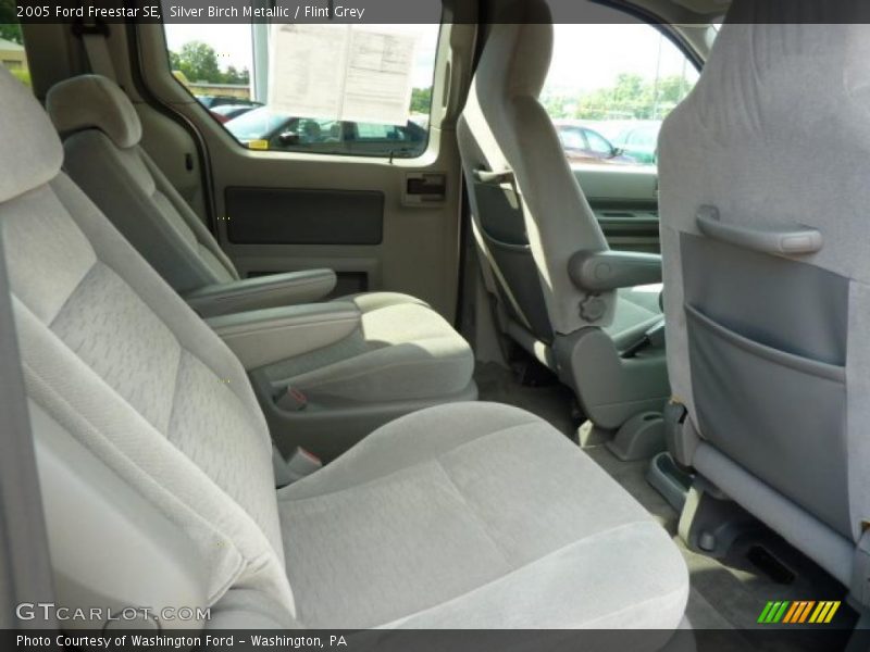 Silver Birch Metallic / Flint Grey 2005 Ford Freestar SE